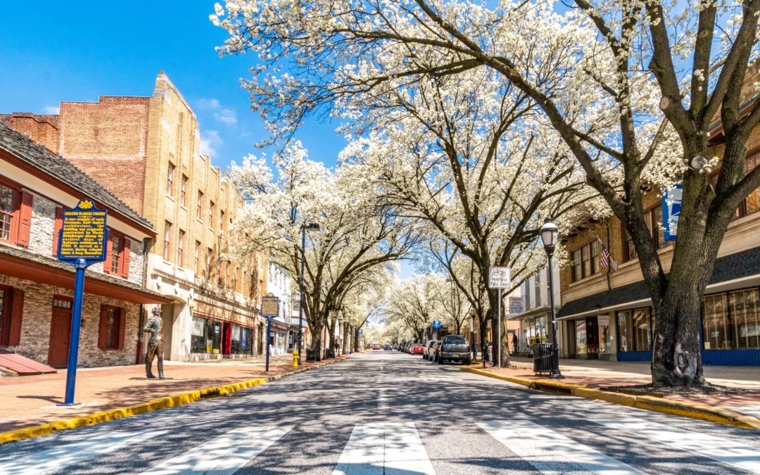 How Much Rent Can I Charge in York, PA? (2026 Guide)
