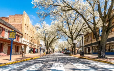 How Much Rent Can I Charge in York, PA? (2026 Guide)