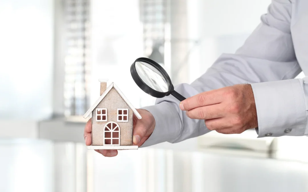 What One Hundred Property Walkthroughs Taught Me About Real Estate